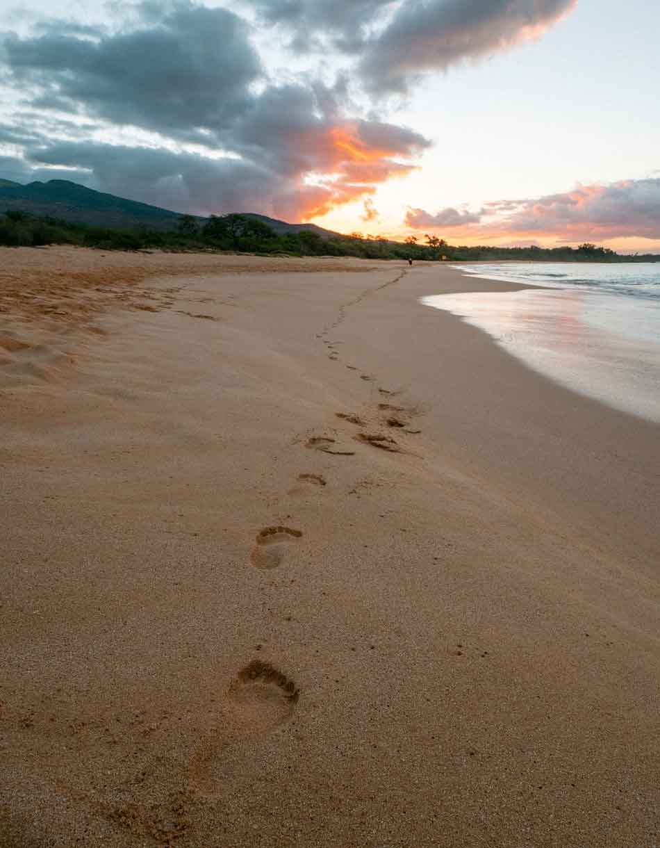 footprint