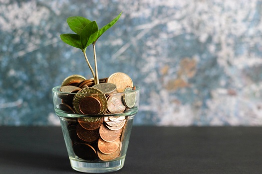 tree-money.jpg