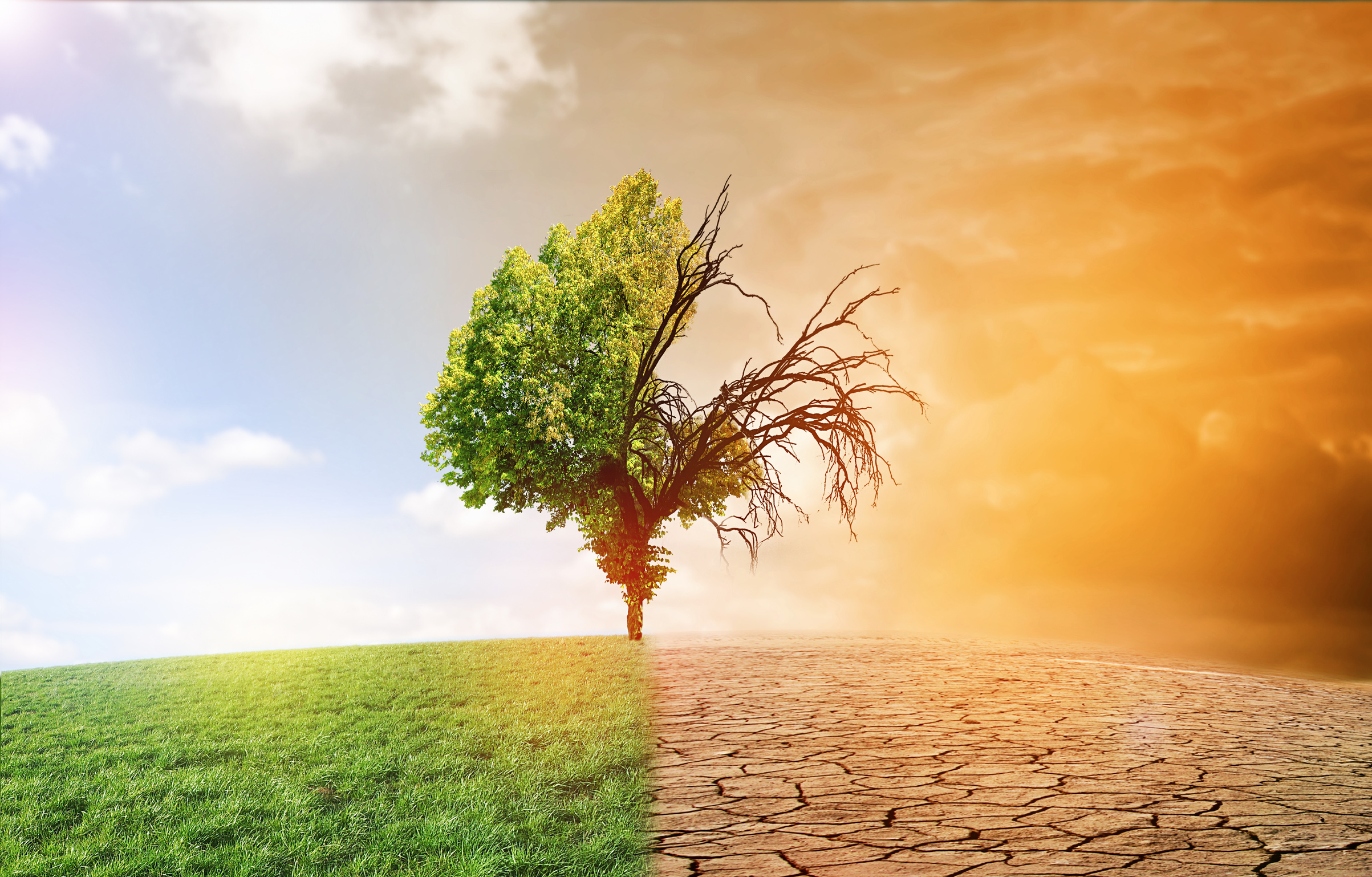 Fotolia_126395498_L.jpg