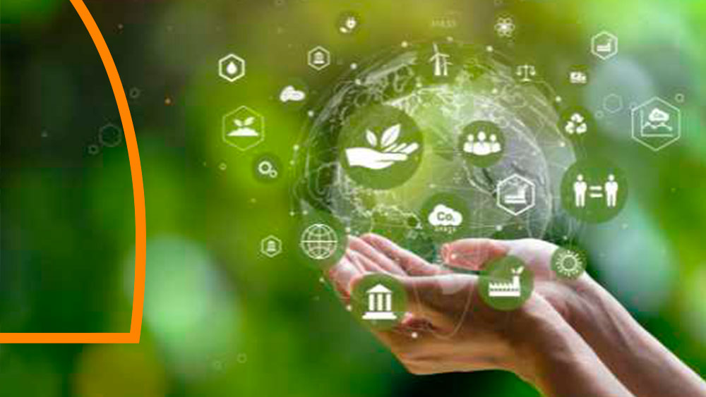 sostenibilidad-blog growth