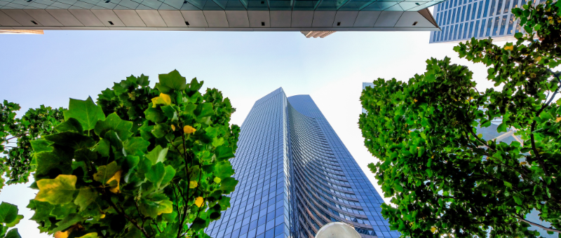 b corp call for companies