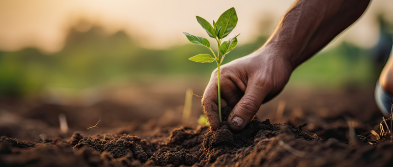 afterwork negocios regenerativos