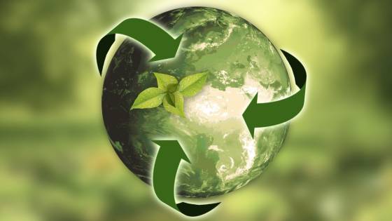 sustainability