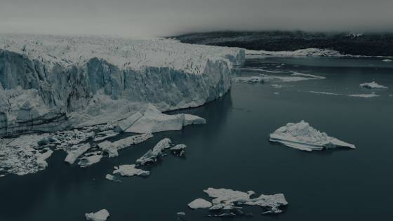 pexels-gaspar-zaldo-13451857