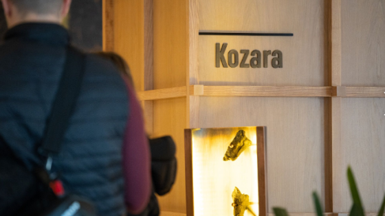 kozara
