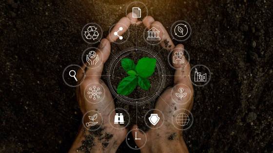 sustainability-organization