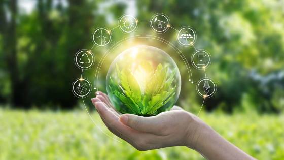 sustainability-our-responsability