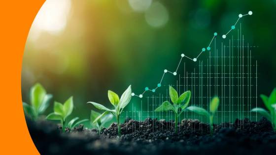 global-bba-specialisations-sustainable-innovation