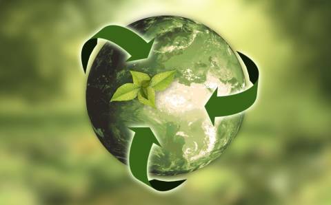 sustainability