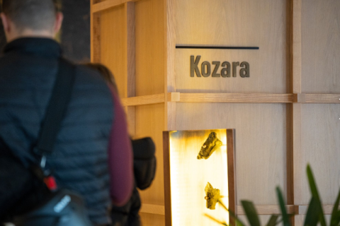 kozara