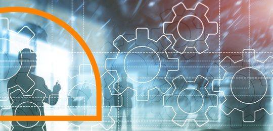 Advanced project management