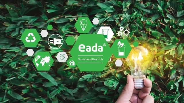 sustainable leadership in and from business organisations