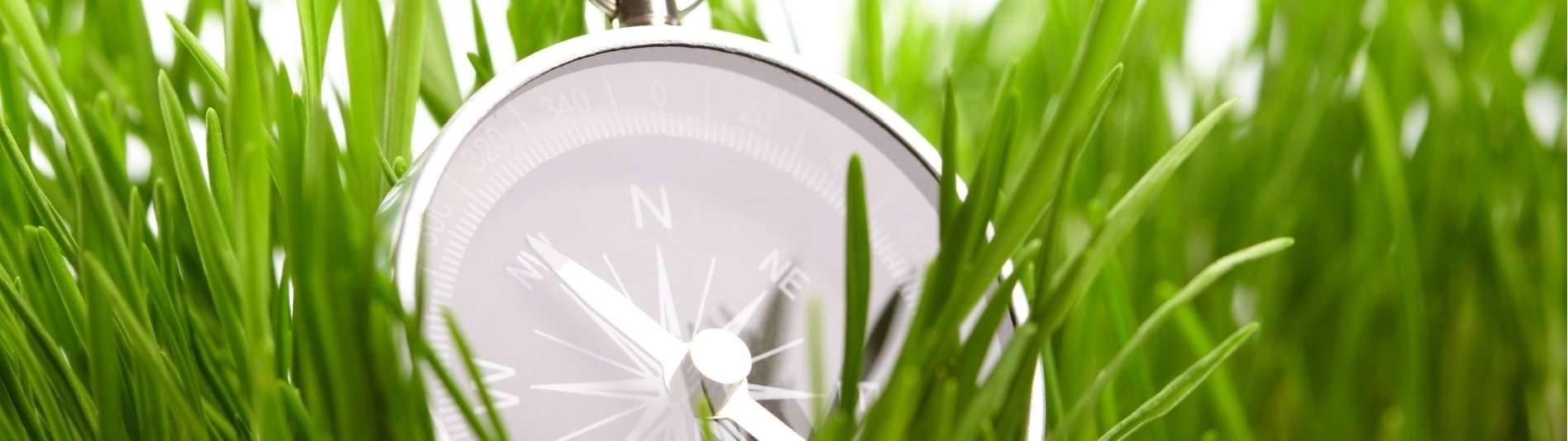 Equip acadèmic del Sustainability Hub