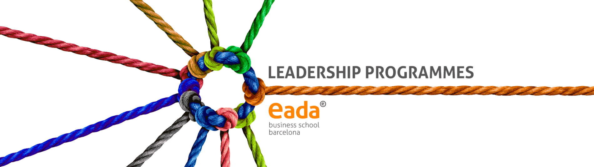 Programas de liderazgo