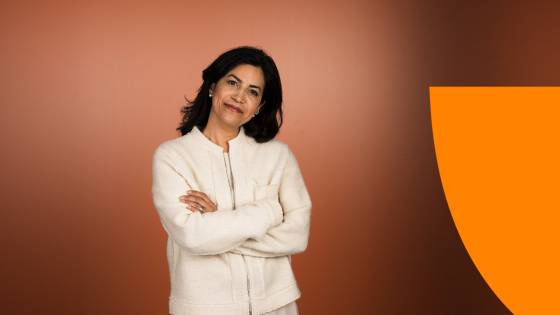 master online en Innovación y Sostenibilidad Empresarial