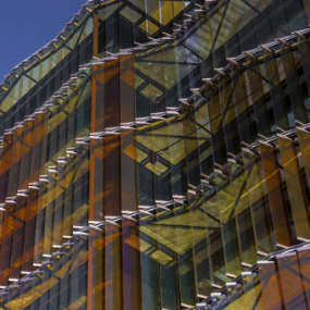 profesión del futuro