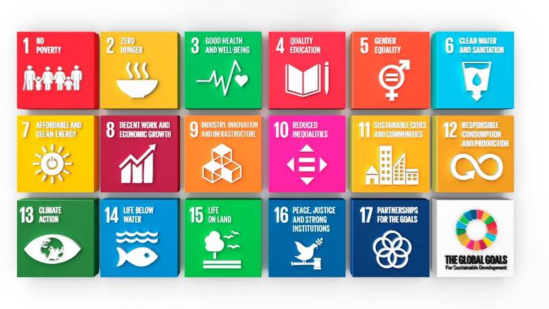 SDG opportunities and business challenges