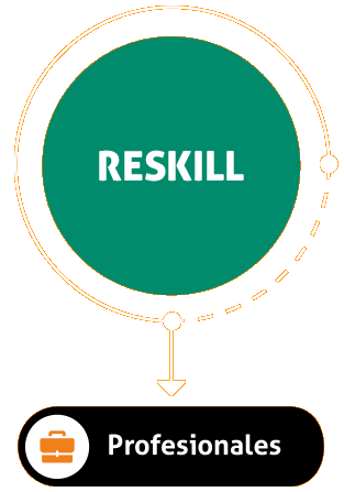 Reskill - Profesionales